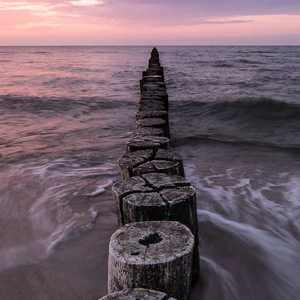 一级特黄60分钟免费男女
